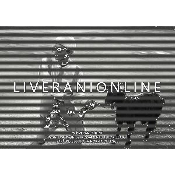 RETROSPETTIVA MASSIMO FARINELLI ATTORE NELLA FOTO MASSIMO FARINELLI A ROMA NELL\'ANNO 1968 AG ALDO LIVERANI SAS