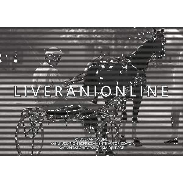 RETROSPETTIVA MASSIMO FARINELLI ATTORE NELLA FOTO MASSIMO FARINELLI A ROMA NELL\'ANNO 1968 AG ALDO LIVERANI SAS