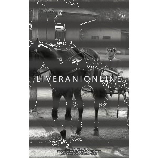 RETROSPETTIVA MASSIMO FARINELLI ATTORE NELLA FOTO MASSIMO FARINELLI A ROMA NELL\'ANNO 1968 AG ALDO LIVERANI SAS