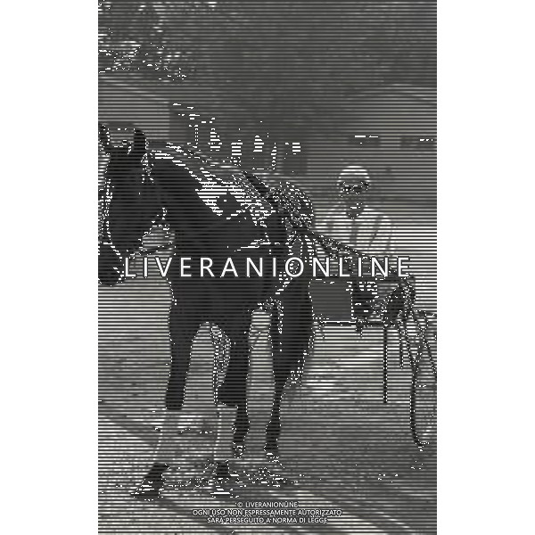 RETROSPETTIVA MASSIMO FARINELLI ATTORE NELLA FOTO MASSIMO FARINELLI A ROMA NELL\'ANNO 1968 AG ALDO LIVERANI SAS