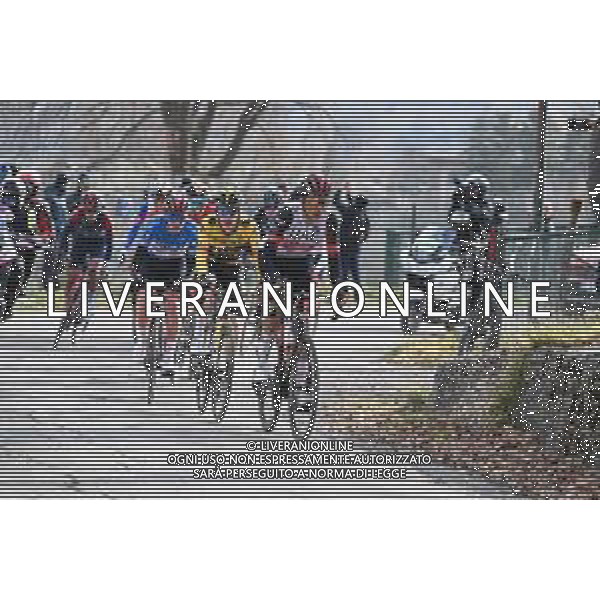12-03-2022 Tirreno - Adriatico; Tappa 06 Apecchio - Carpegna; 2022, Uae Emirates; 2022, Jumbo - Visma; Soler, Marc; Vingegaard, Jonas; Pogacar, Tadej; Monte Carpegna; ©SIROTTI/AGENZIA ALDO LIVERANI SAS