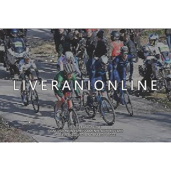 12-03-2022 Tirreno - Adriatico; Tappa 06 Apecchio - Carpegna; 2022, Trek - Segafredo; 2022, Movistar; 2022, Quick Step - Alpha Vinyl; 2022, Ag2r - Citroen; Simmons, Quinn; Aranburu Deva, Alexander; Mas, Enric; Alaphilippe, Julian; Cosnefroy, Benoit; Monte Carpegna; ©SIROTTI/AGENZIA ALDO LIVERANI SAS