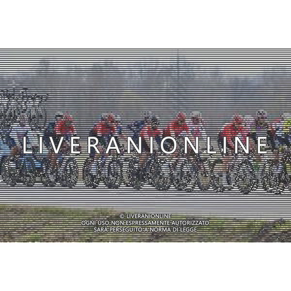 16-03-2022 Milano - Torino; 2022, Arkea - Samsic; Bouhanni, Nacer; ©SIROTTI/AGENZIA ALDO LIVERANI SAS