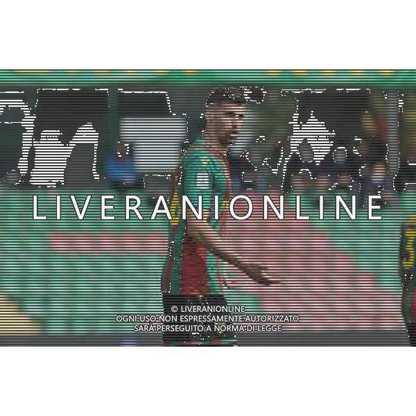 Ternana vs Alessandria Campionato Serie B - 31 Giornata Stadio Libero Liberati - Terni 19-03-2022 nella foto Luka Bogdan ©Federico Gaetano/AGENZIA ALDO LIVERANI SAS