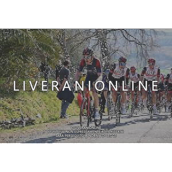 23-03-2022 Settimana Internazionale Coppi E Bartali; Tappa 02 Riccione - Longiano; 2022, Ineos - Grenadiers; Geraint, Thomas; Longiano; ©SIROTTI/AGENZIA ALDO LIVERANI SAS