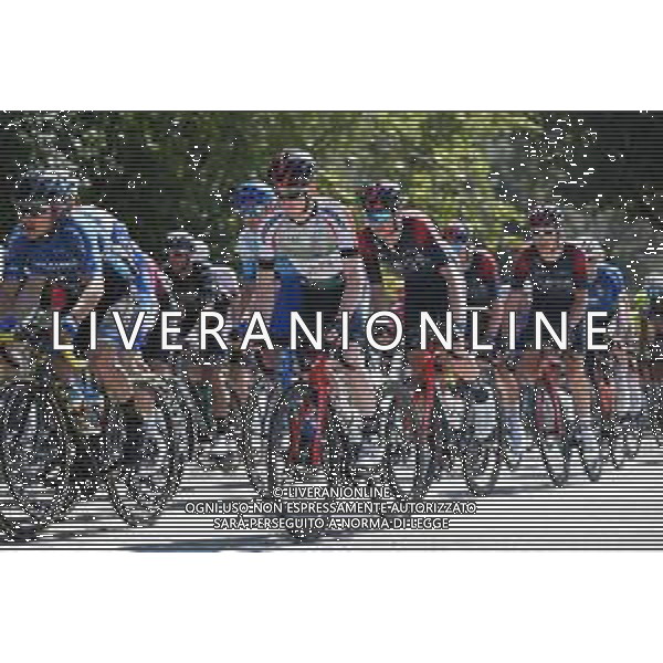 25-03-2022 Settimana Internazionale Coppi E Bartali; Tappa 04 Montecatini Terme - Montecatini Terme; 2022, Ineos - Grenadiers; Dunbar, Eddie; Montecatini Terme; ©SIROTTI/AGENZIA ALDO LIVERANI SAS
