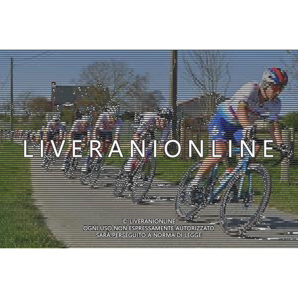 25-03-2022 E3 Harelbeke; 2022, Totalenergie; Sagan, Peter; Harelbeke; ©SIROTTI/AGENZIA ALDO LIVERANI SAS