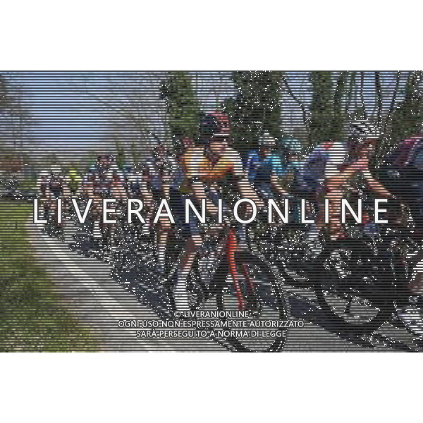 26-03-2022 Settimana Internazionale Coppi E Bartali; Tappa 05 Casalguidi - Cantagrillo; 2022, Ineos - Grenadiers; Tulett, Ben; Mungherino; ©SIROTTI/AGENZIA ALDO LIVERANI SAS