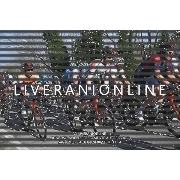 26-03-2022 Settimana Internazionale Coppi E Bartali; Tappa 05 Casalguidi - Cantagrillo; 2022, Ineos - Grenadiers; Dunbar, Eddie; Tulett, Ben; Geraint, Thomas; Mungherino; ©SIROTTI/AGENZIA ALDO LIVERANI SAS
