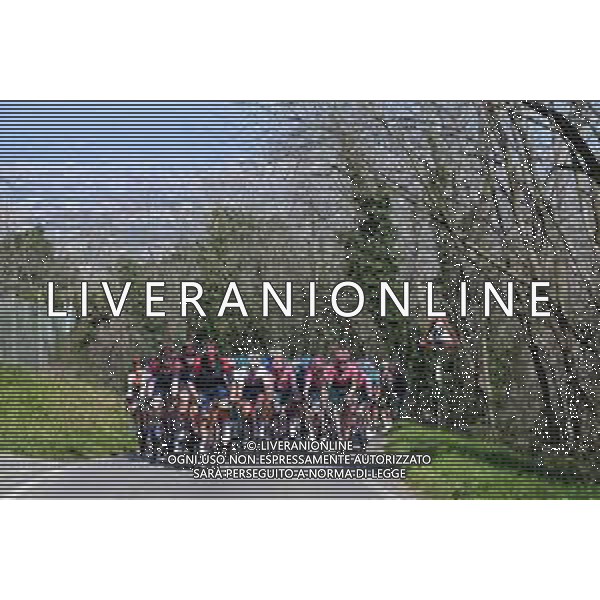 26-03-2022 Settimana Internazionale Coppi E Bartali; Tappa 05 Casalguidi - Cantagrillo; 2022, Ineos - Grenadiers; Mungherino; ©SIROTTI/AGENZIA ALDO LIVERANI SAS