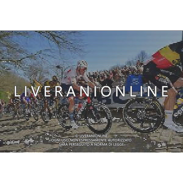 27-03-2022 Gent - Wevelgem; 2022, Trek - Segafredo; Pedersen, Mads; Monte Kemmel; ©SIROTTI/AGENZIA ALDO LIVERANI SAS