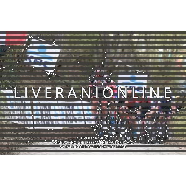 03-04-2022 Tour Des Flandres; 2022, Uae Emirates; Pogacar, Tadej; Koppenberg; FOTO STEFANO SIROTTI-AG ALDO LIVERANI SAS