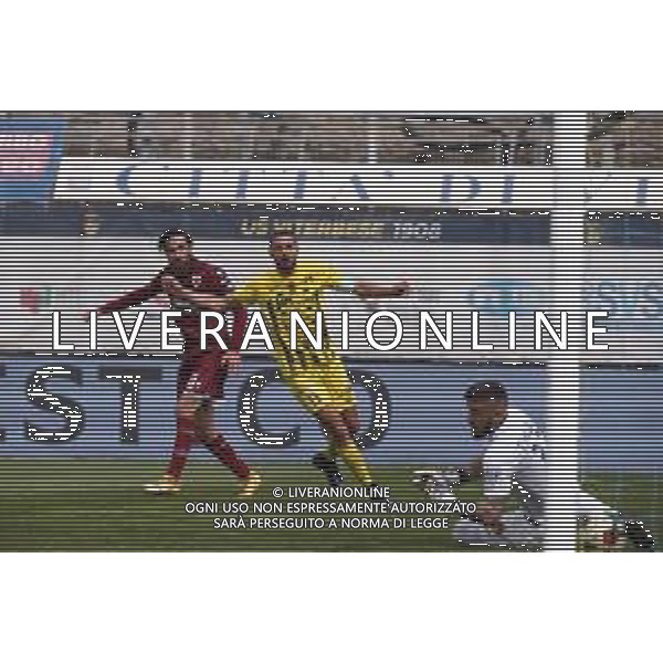 03-04-2022 VITERBO-CAMPIONATO DI LEGA PRO VITERBESE-REGGIANA NELLA FOTO IL GOL ZAMPARO LUCA AG ALDO LIVERANI SAS