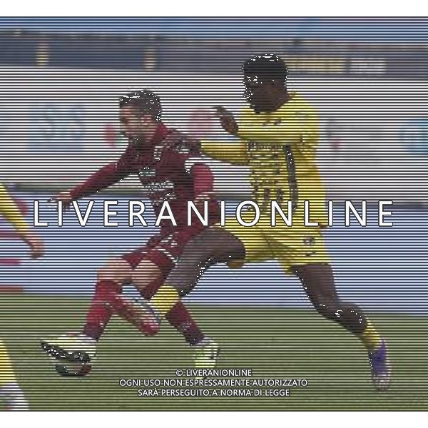 03-04-2022 VITERBO-CAMPIONATO DI LEGA PRO VITERBESE-REGGIANA NELLA FOTO ROSSI FAUSTO E ADOPO MICHEL AG ALDO LIVERANI SAS