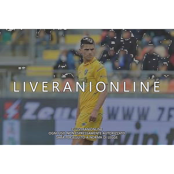 Frosinone vs Cremonese Campionato Serie B - 34 Giornata Stadio Benito Stirpe - Frosinone 09-04-2022 nella foto Karlo Lulic FOTO FEDERICO GAETANO-AG ALDO LIVERANI SAS
