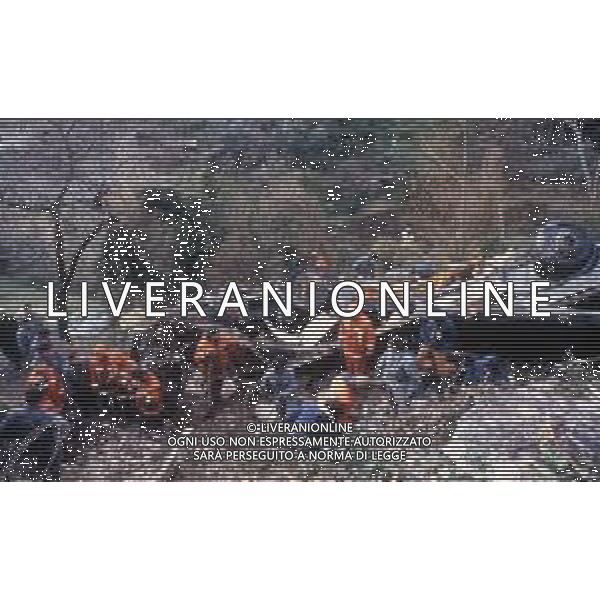 18-12-1983 NERVI-AUTOSTRADA LA SPEZIA-GENOVA UN PULMANN DI MILITARI DELLA MARINA ITALIANA CADE DAL VIADOTTO CASTAGNA I MARINAI ANDAVANO AD ASSISTERE ALLA PARTITA JUVENTUS-INTER 35 MORTI E 3 SOPRAVISSUTI NELLA FOTO IL PULMANN E I SOCCORSI TRA LE LAMIERE DEL MEZZO AG ALDO LIVERANI SAS