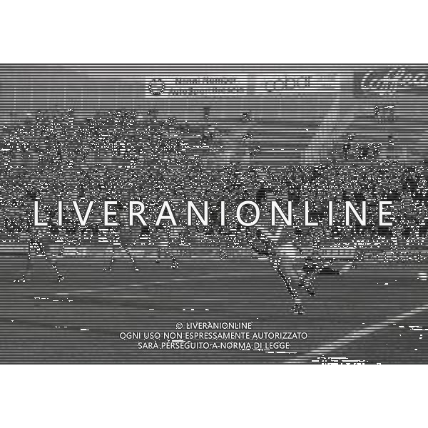 28-11-1993 BRESCIA CAMPIONATO DI CALCIO SERIE B BRESCIA VERONA 1-1 NELLA FOTO MARCO SCHENARDI ESULTA DOPO IL GOAL DI FRANCO LERDA AG ALDO LIVERANI SAS