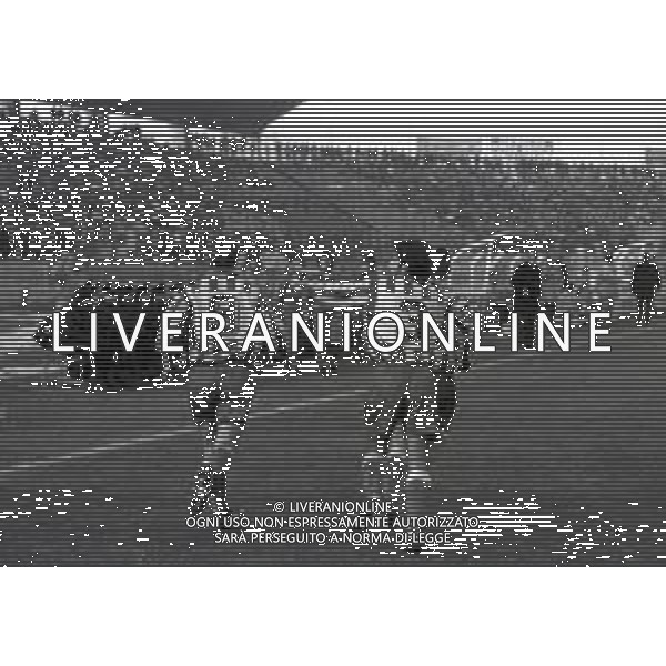 28-11-1993 BRESCIA CAMPIONATO DI CALCIO SERIE B BRESCIA VERONA 1-1 NELLA FOTO ESULTANZA GIOCATORI VERONA DOPO IL GOAL DI CLAUDIO LUNINI AG ALDO LIVERANI SAS