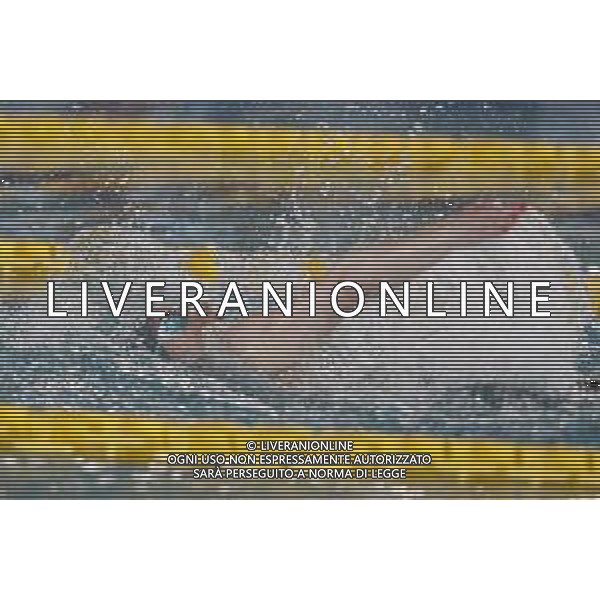 Riccione 12/04/2021 - CAMPIONATO ITALIANO UNIPOLSAI ASSOLUTO DI NUOTO PRIMAVERILE- nella foto: Scalia Silvia ©Claudio Zamagni/Agenzia Aldo Liverani