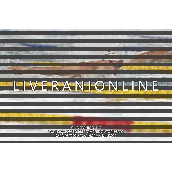 Riccione 12/04/2021 - CAMPIONATO ITALIANO UNIPOLSAI ASSOLUTO DI NUOTO PRIMAVERILE- nella foto: codia piero ©Claudio Zamagni/Agenzia Aldo Liverani/AGENZIA ALDO LIVERANI SAS