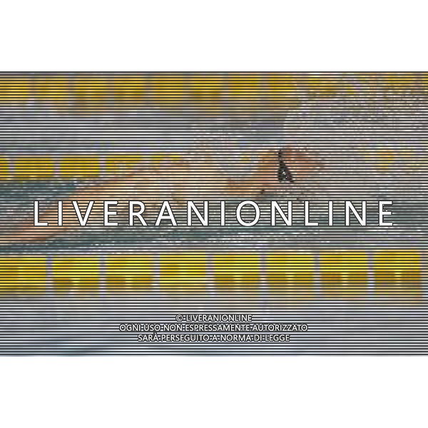 Riccione 12/04/2021 - CAMPIONATO ITALIANO UNIPOLSAI ASSOLUTO DI NUOTO PRIMAVERILE- nella foto: bertoni filippo ©Claudio Zamagni/Agenzia Aldo Liverani/AGENZIA ALDO LIVERANI SAS