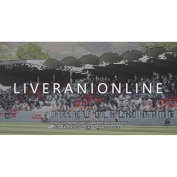 SUDTIROL - PADOVA CAMPIONATO CALCIO SERIE C LEGA PRO 16.04.2022 NELLA FOTO TIFOSI SUDTIROL ©SANTANDREA/AGENZIA ALDO LIVERANI SAS