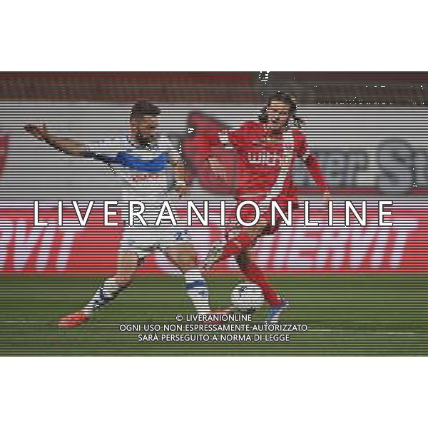 © TVRG Marko Pajac (Brescia) e Andrea Colpani (Monza) Monza vs Brescia Campionato Serie BKT - 35a giornata Monza 18-04-2022 U-Power Stadium foto Roberto Garavaglia/ag. Aldo Liverani sas/AGENZIA ALDO LIVERANI SAS