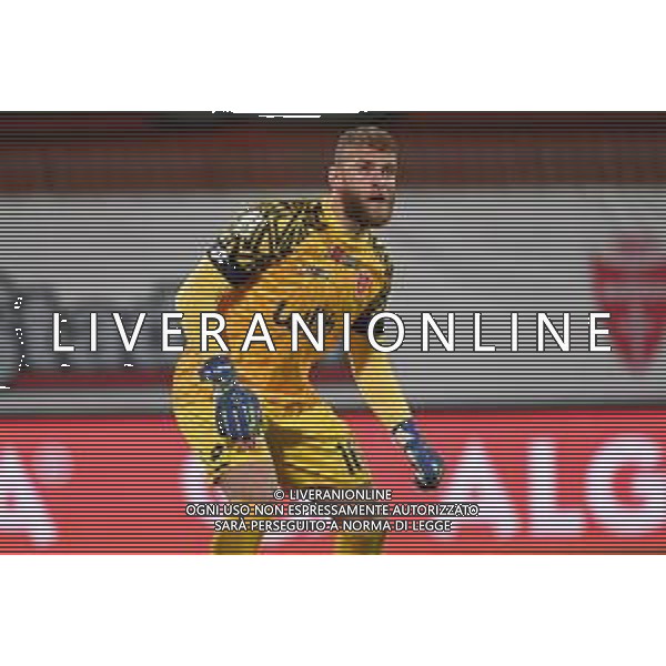 ¬© TVRG Michele Di Gregorio (Monza) Monza vs Brescia Campionato Serie BKT - 35a giornata Monza 18-04-2022 U-Power Stadium foto Roberto Garavaglia/ag. Aldo Liverani sas/AGENZIA ALDO LIVERANI SAS