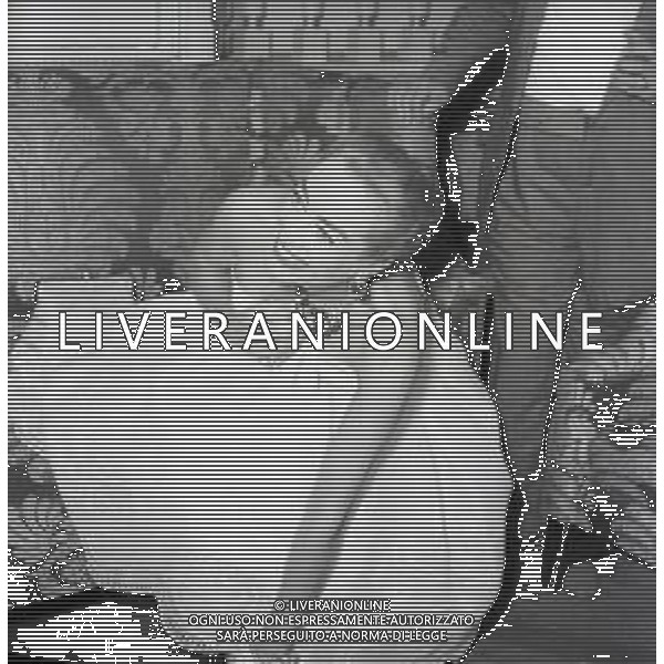 RETROSPETTIVA JOAN CRAWFORD ATTRICE NELLA FOTO JOAN CRAWFORD A ROMA NELL\'ANNO 1952 AG ALDO LIVERANI SAS