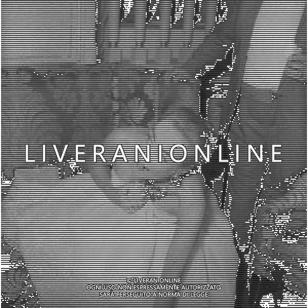 RETROSPETTIVA JOAN CRAWFORD ATTRICE NELLA FOTO JOAN CRAWFORD A ROMA NELL\'ANNO 1952 AG ALDO LIVERANI SAS