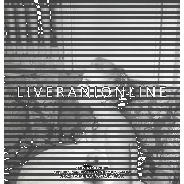 RETROSPETTIVA JOAN CRAWFORD ATTRICE NELLA FOTO JOAN CRAWFORD A ROMA NELL\'ANNO 1952 AG ALDO LIVERANI SAS