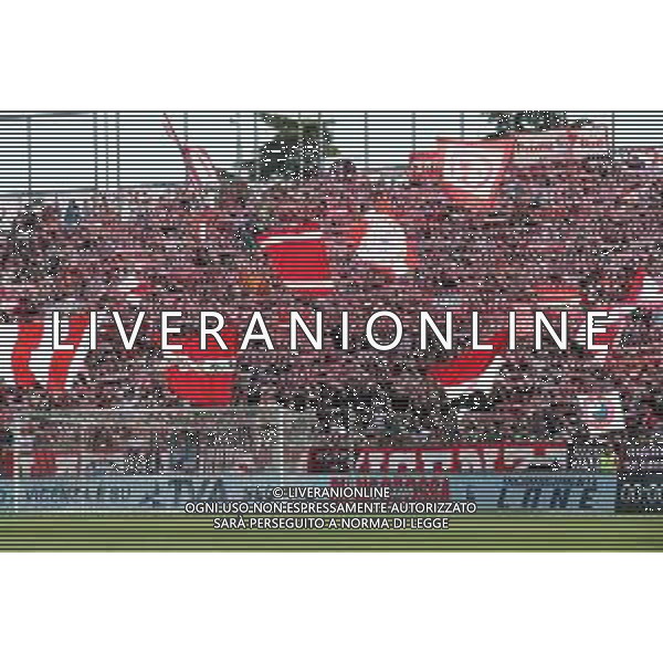Foto P.G /Ag. Aldo Liverani 30 aprile 2022 Sport Calcio Vicenza-Lecce Campionato di Calcio Serie B 2021/22 - Stadio Romeo Menti Nella foto: tifosi vicenza / Agenzia Aldo Liverani Sas