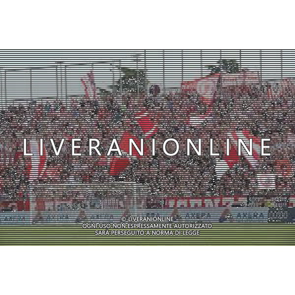 Foto P.G /Ag. Aldo Liverani 30 aprile 2022 Sport Calcio Vicenza-Lecce Campionato di Calcio Serie B 2021/22 - Stadio Romeo Menti Nella foto: tifosi vicenza / Agenzia Aldo Liverani Sas