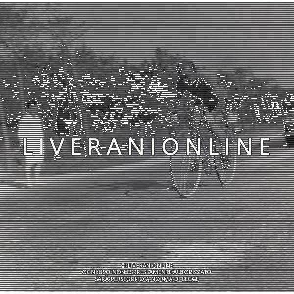 1955-1956 GIRO D\'ITALIA NELLA FOTO CORRIDORI AL GIRO D\'ITALIA AG ALDO LIVERANI SAS