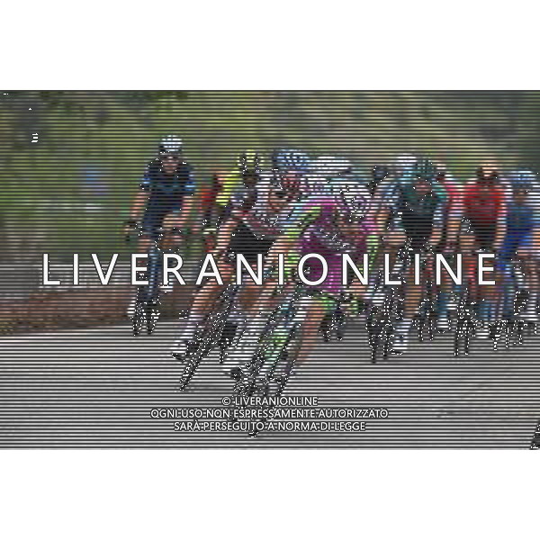 13-05-2022 Giro D\'italia; Tappa 07 Diamante - Potenza; 2022, Bardiani - Csf Faizane; ©SIROTTI / AGENZIA ALDO LIVERANI SAS