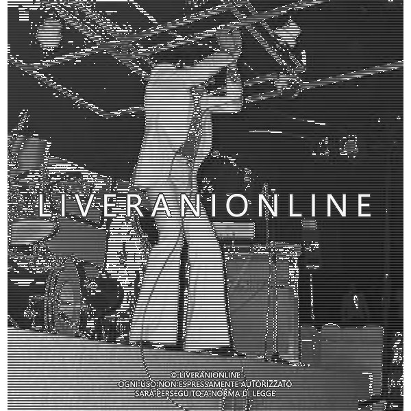 RETROSPETTIVA DEL CANTANTE MAL (pseudonimo di Paul Bradley Couling) NELLA FOTO MENTRE SI ESIBISCE ALLA BUSSOLA DI VIAREGGIO NELL\'AGOSTO DEL 1975 ©Archivio Giovanni Liverani/AGENZIA ALDO LIVERANI SAS