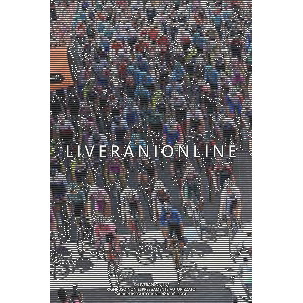 15-05-2022 Giro D\'italia; Tappa 09 Isernia - Monte Blockhaus; 2022, Trek - Segafredo; 2022, Jumbo - Visma; Lopez, Juan Pedro; Bouwman, Koen; Isernia; ©SIROTTI / AGENZIA ALDO LIVERANI SAS