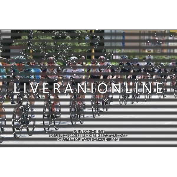 17-05-2022 Giro D\'italia; Tappa 10 Pescara - Jesi; 2022, Uae Emirates; Almeida, Joao; Grottammare; ©SIROTTI/AGENZIA ALDO LIVERANI SAS