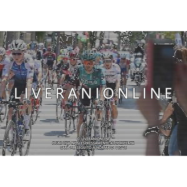 17-05-2022 Giro D\'italia; Tappa 10 Pescara - Jesi; 2022, Bora - Hansgrohe; Pineto; ©SIROTTI/AGENZIA ALDO LIVERANI SAS