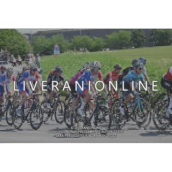 19-05-2022 Giro D\'italia; Tappa 12 Parma - Genova; 2022, Groupama - Fdj; Guarnieri, Jacopo; ©SIROTTI/AGENZIA ALDO LIVERANI SAS