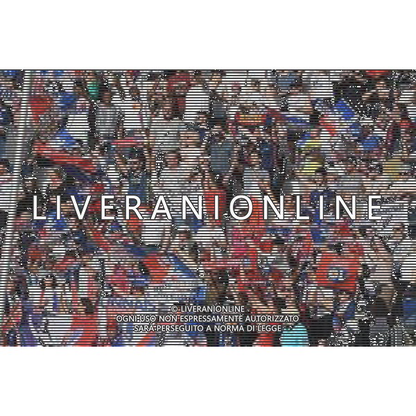 TVMV-Torino 21.05.2022 Allianz Stadium ©Manuela Viganti/Agenzia Aldo Liverani Barcellona vs Lione Uefa Women\'s Champions League Final 2022 Nella foto : tifosi lione ©VIGANTI/AGENZIA ALDO LIVERANI SAS