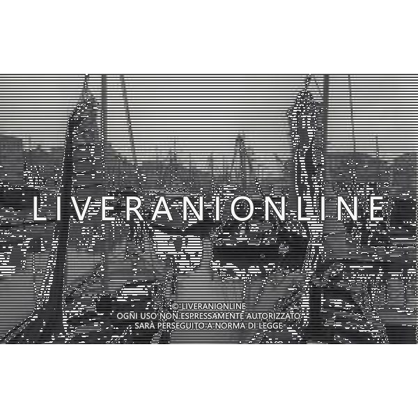 1975 TRIESTE MERCATO ITTICO NELLA FOTO LA PESCA A TRIESTE AG ALDO LIVERANI SAS