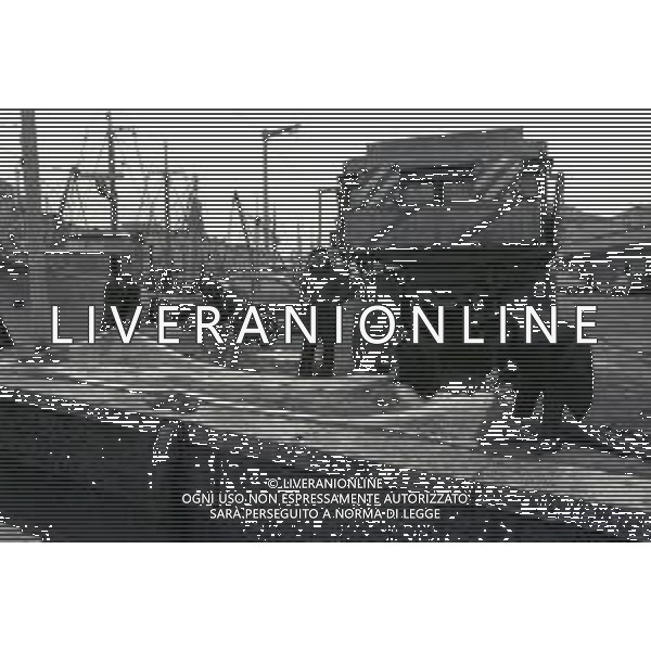 1975 TRIESTE MERCATO ITTICO NELLA FOTO LA PESCA A TRIESTE AG ALDO LIVERANI SAS