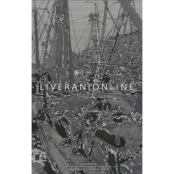 1975 TRIESTE MERCATO ITTICO NELLA FOTO LA PESCA A TRIESTE AG ALDO LIVERANI SAS