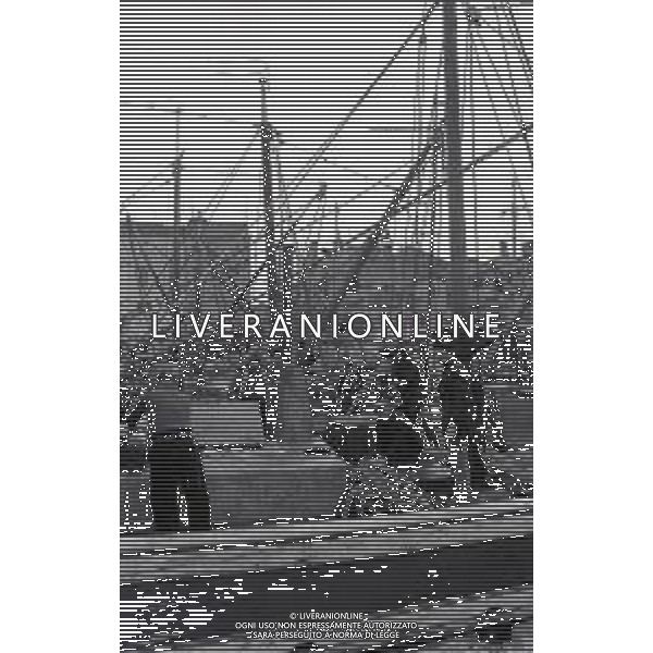 1975 TRIESTE MERCATO ITTICO NELLA FOTO LA PESCA A TRIESTE AG ALDO LIVERANI SAS