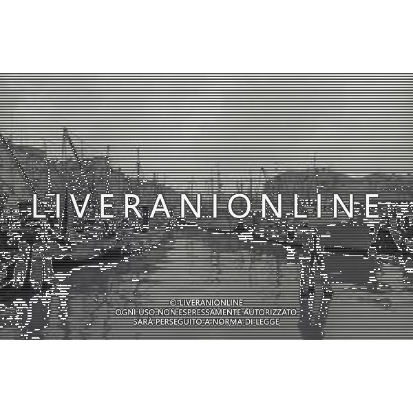 1975 TRIESTE MERCATO ITTICO NELLA FOTO LA PESCA A TRIESTE AG ALDO LIVERANI SAS