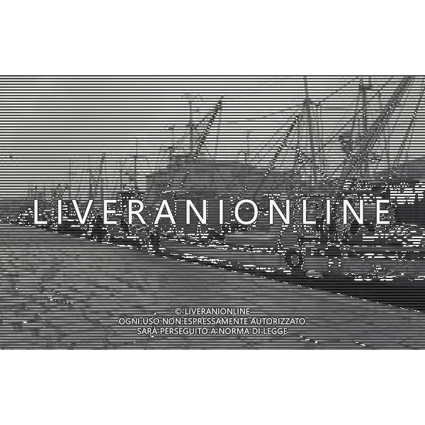 1975 TRIESTE MERCATO ITTICO NELLA FOTO LA PESCA A TRIESTE AG ALDO LIVERANI SAS