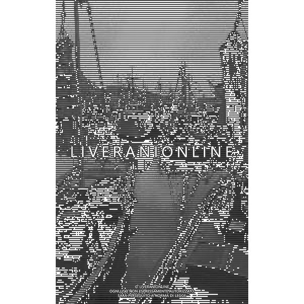 1975 TRIESTE MERCATO ITTICO NELLA FOTO LA PESCA A TRIESTE AG ALDO LIVERANI SAS