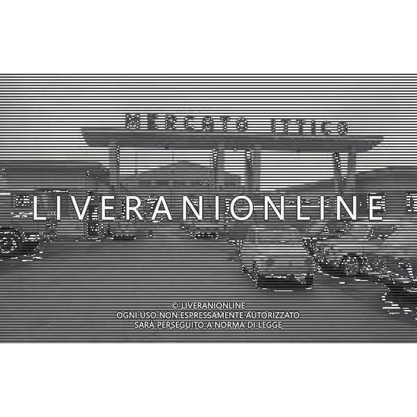 1975 TRIESTE MERCATO ITTICO NELLA FOTO LA PESCA A TRIESTE AG ALDO LIVERANI SAS