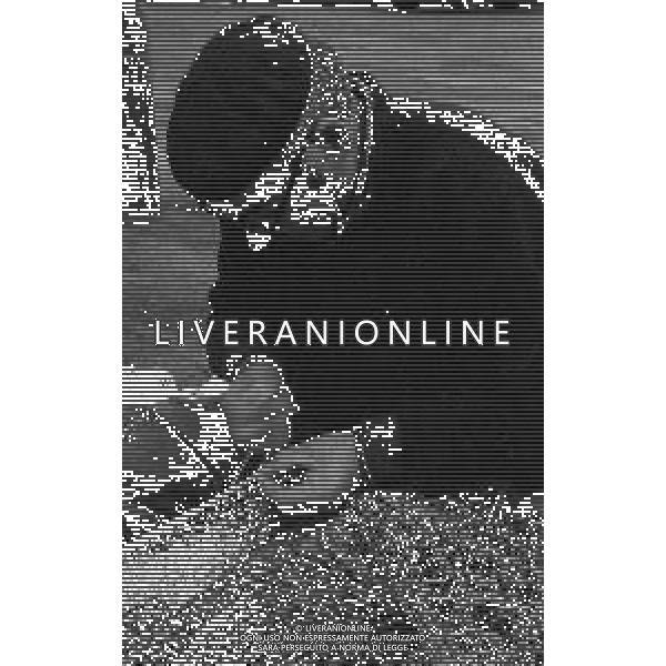 1975 TRIESTE MERCATO ITTICO NELLA FOTO LA PESCA A TRIESTE AG ALDO LIVERANI SAS